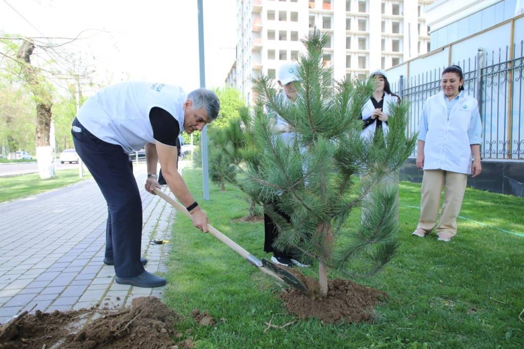 “Яшил макон” лойиҳасида барча ташкилотлар фаол
