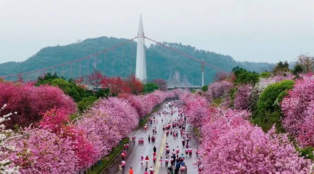 Лючжоуский марафон – символ экологической стабильности и международного сотрудничества