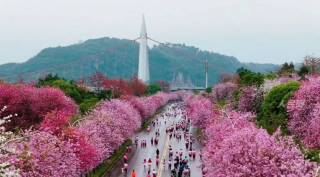 Лючжоуский марафон – символ экологической стабильности и международного сотрудничества