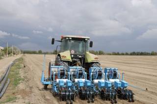 Navbahorda zamonaviy yondashuv asosida yerga chigit qadalmoqda