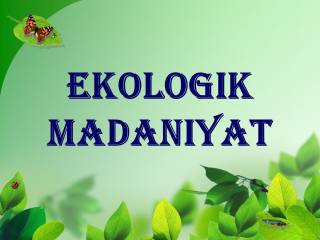 Ekologik madaniyatni oshirishda davlat va fuqarolik jamiyati institutlarining hamkorligi qanchalik muhim?