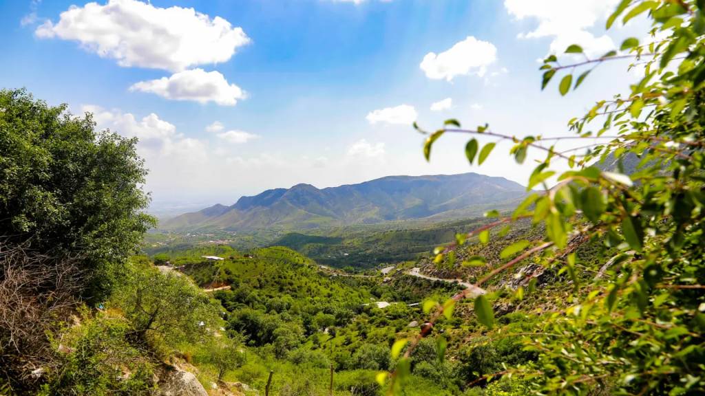 Миллий табиий мерос объектларига доир зарур талаблар белгиланди