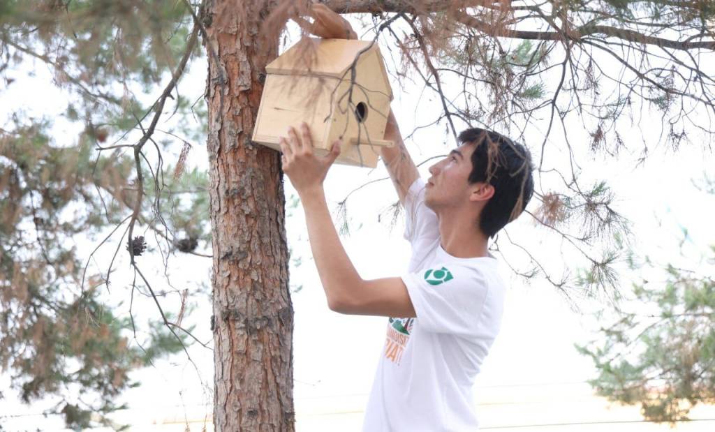 Toshkent viloyati xabarlari – qisqa satrlarda