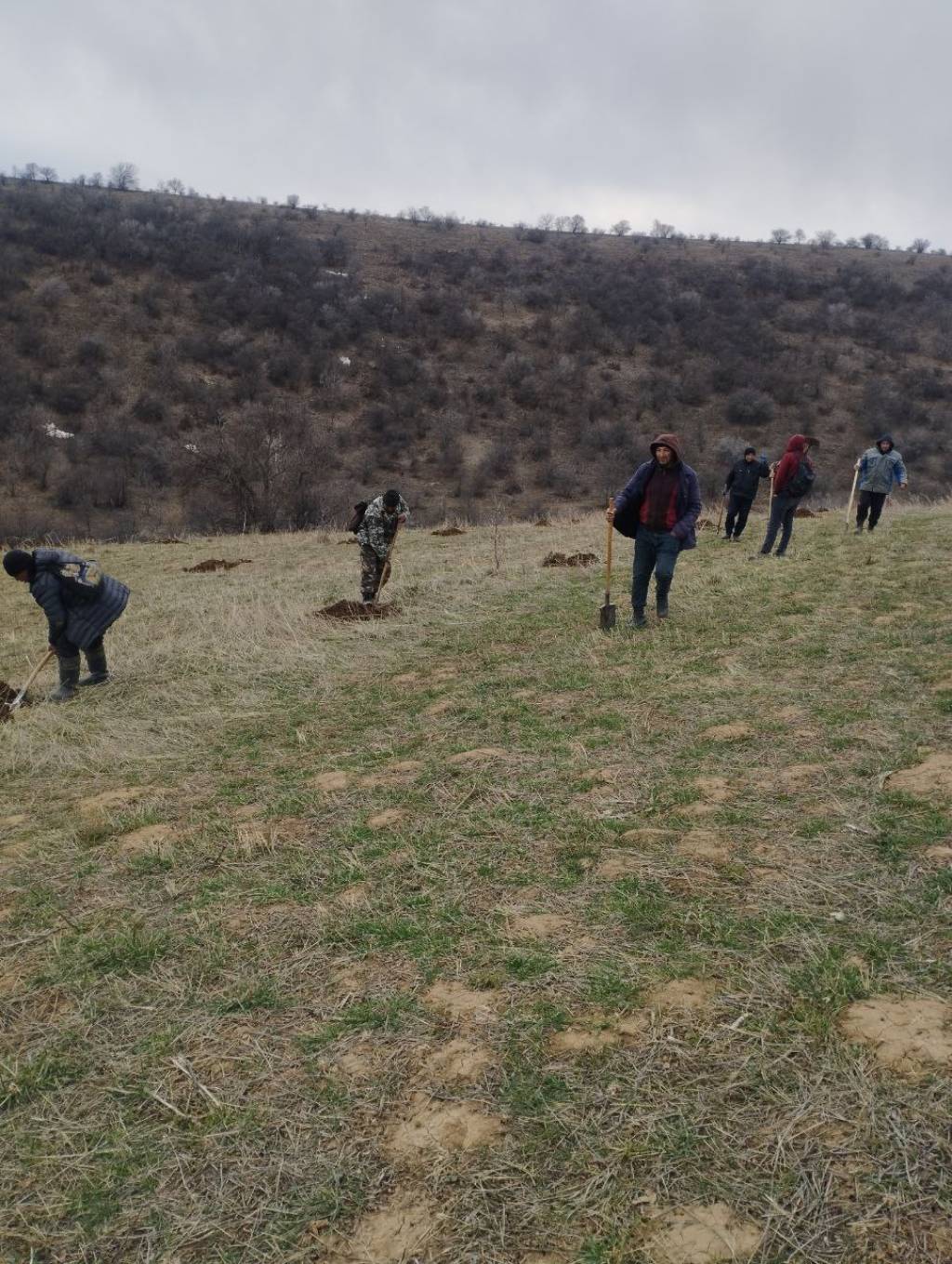 “Yashil makon” loyihasi – yangi davr taqozosi