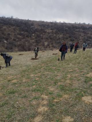 “Yashil makon” loyihasi – yangi davr taqozosi