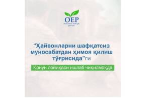 Ekofraksiya hayvonlarga shafqatsizliklar uchun jazoni kuchaytirmoqchi