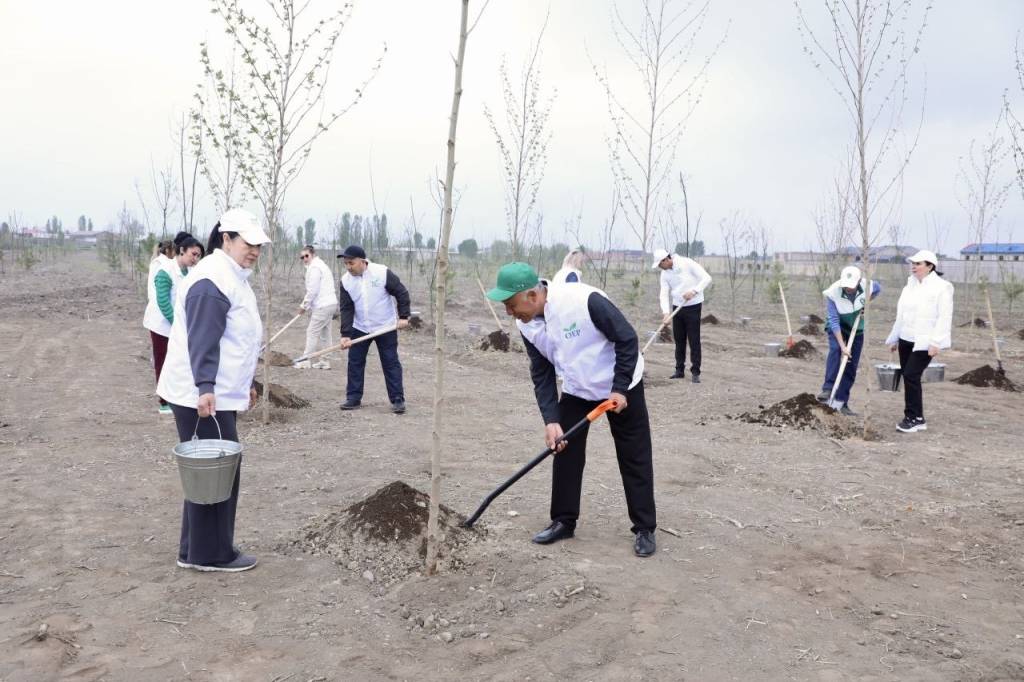 Бектемирда кўчат экиш акцияси