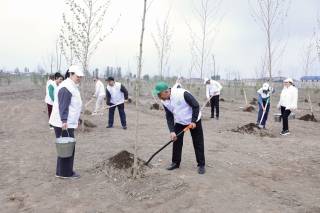Bektemirda ko‘chat ekish aksiyasi