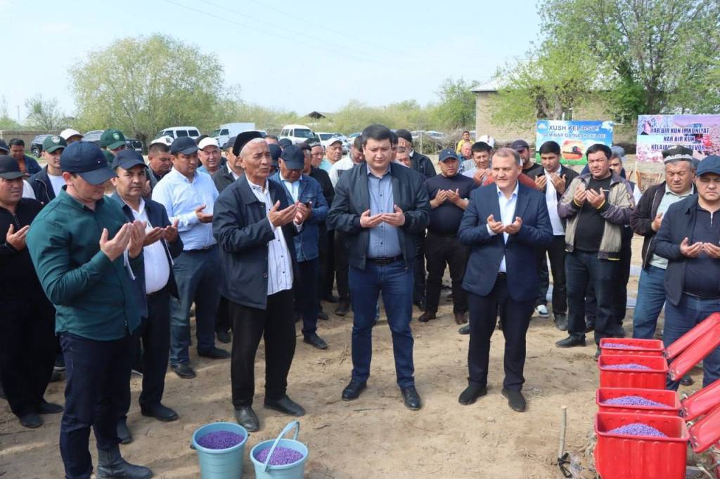 Агротехник тадбирларни самарали амалга ошириш юқори ҳосилни кафолатлайди