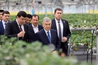 Tuproqsiz ham yuqori hosildorlikka erishish siri yaxshi o‘zlashtirilmoqda