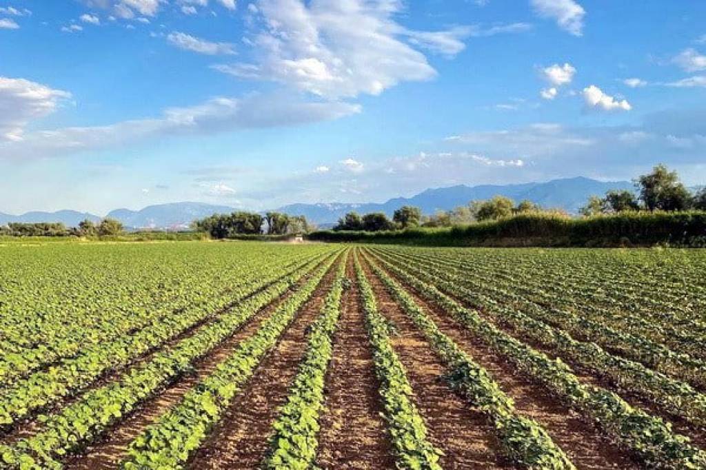 O‘zboshimchalik bilan egallangan yerni bir martalik xatlovdan o‘tkazishda to‘lov undiriladimi?