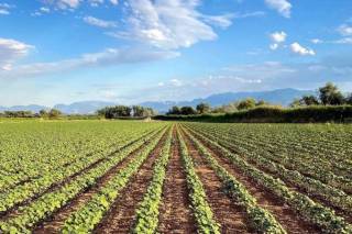 Ўзбошимчалик билан эгалланган ерни бир марталик хатловдан ўтказишда тўлов ундириладими?