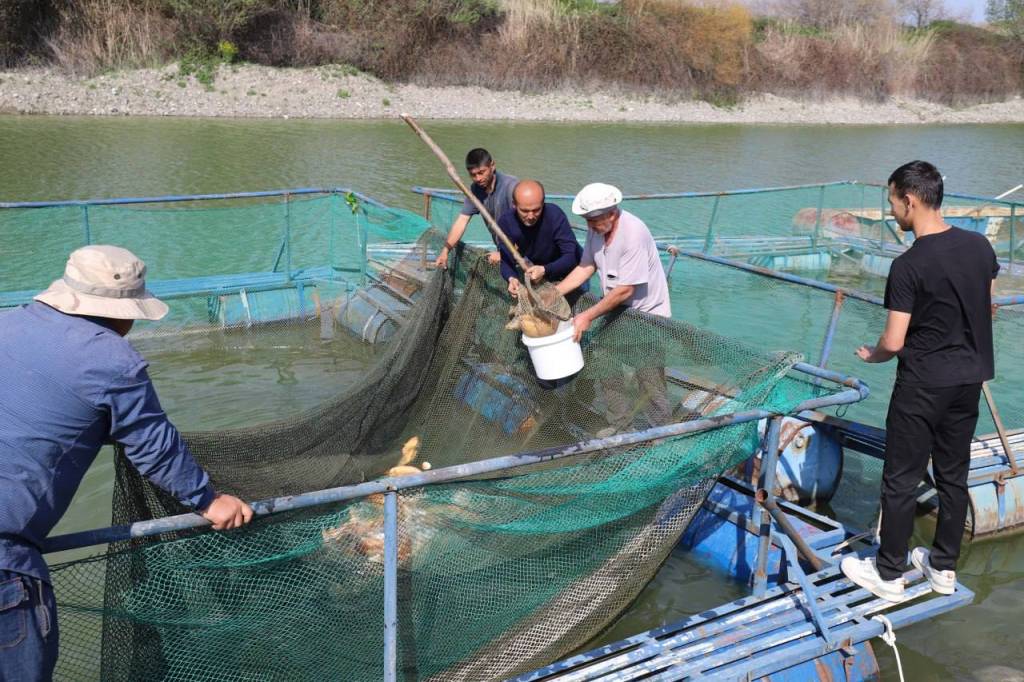 Мўғулистонлик “ҳокимлар” Самарқандда тажриба алмашди