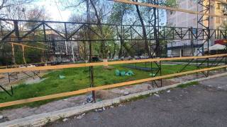 Сенатор сўрови: Чилонзорда дарахтлар кесилишининг олди олинадими?