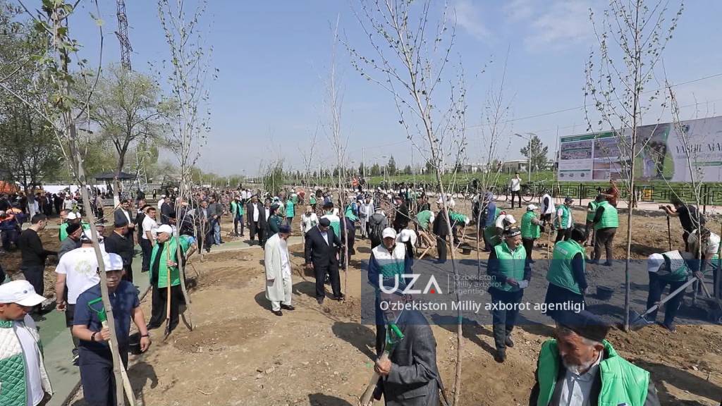 “Yashil makon” umummilliy loyihasi – amalda