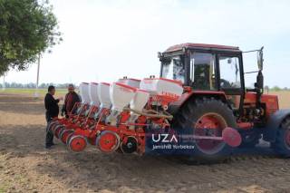 Chigit ekish qizg‘in davom etmoqda