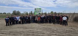 Sudyalar ko‘chat o‘tqazishdi