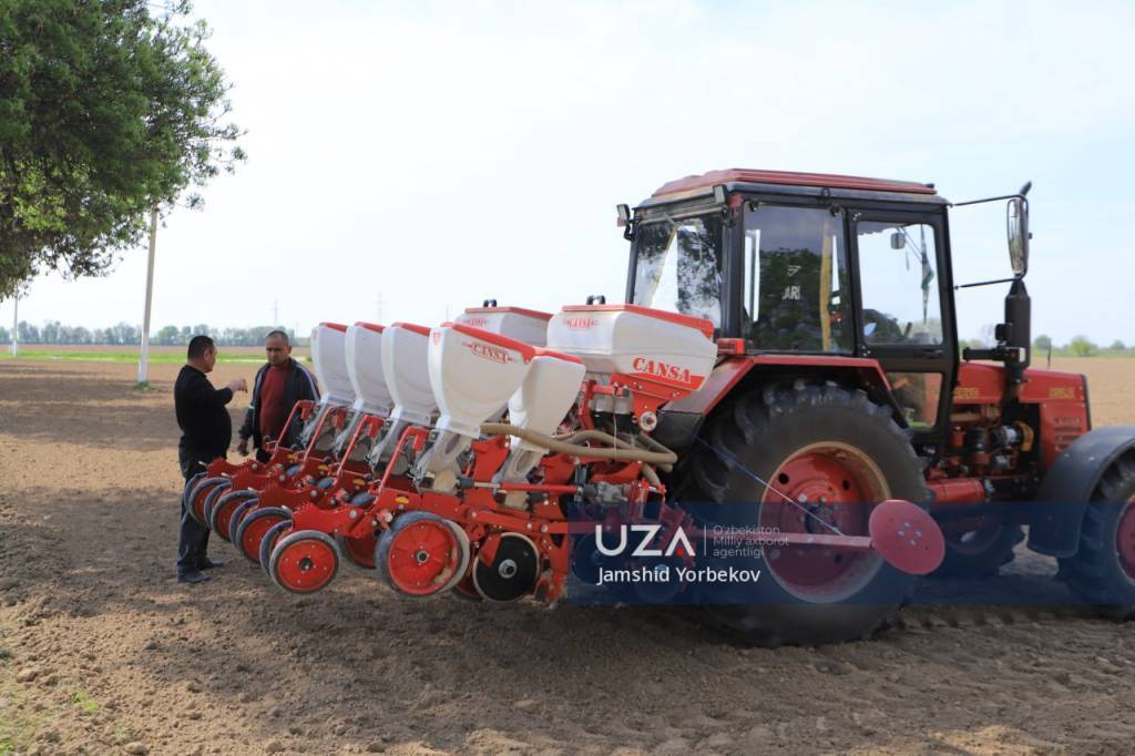 Посев семян идет полным ходом