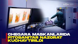 Чегара масканларида фитосанитар назорат кучайтирилди (+видео)