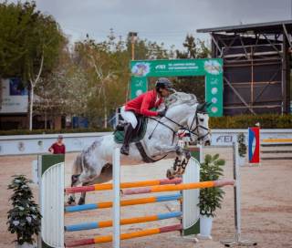 От спортининг конкур йўналиши бўйича Ўзбекистон чемпионлари аниқланди