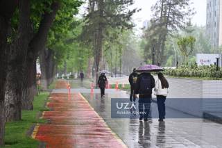 Баҳор ёмғири