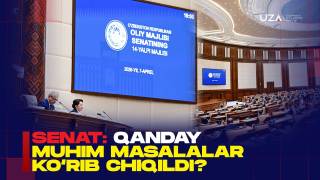 СЕНАТ: қандай муҳим масалалар кўриб чиқилди? (+видео)