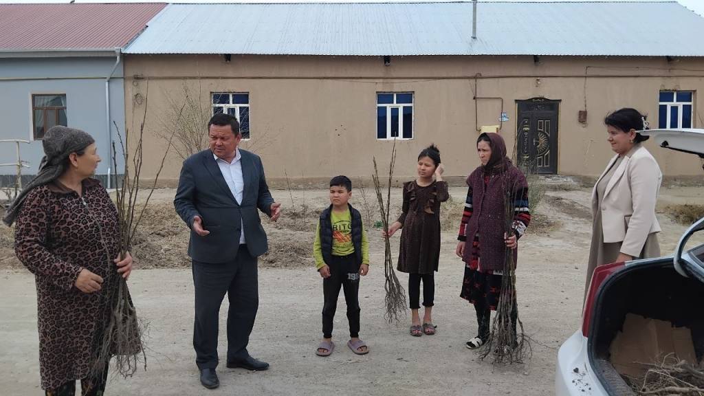 Obodlik va farovonlik yo‘lida amaliy tashabbuslar