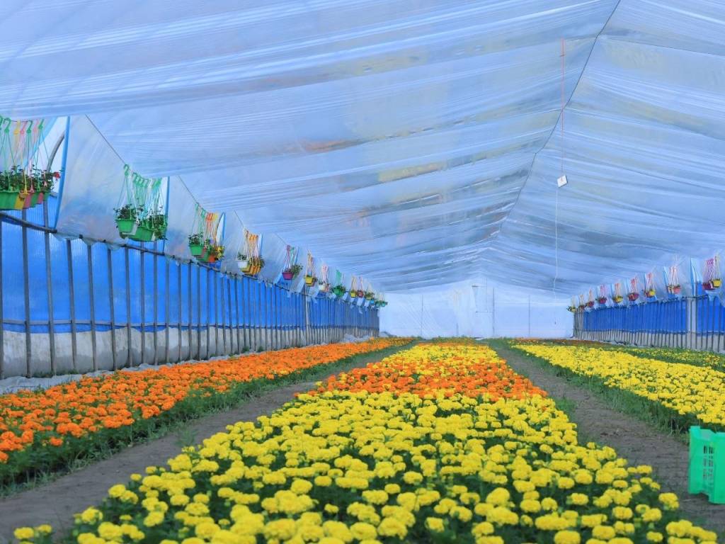 Talab bor joyda tanazzul bo‘lmaydi