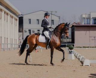 От йўрттириш бўйича Алина Шевцовага тенг келадигани йўқ