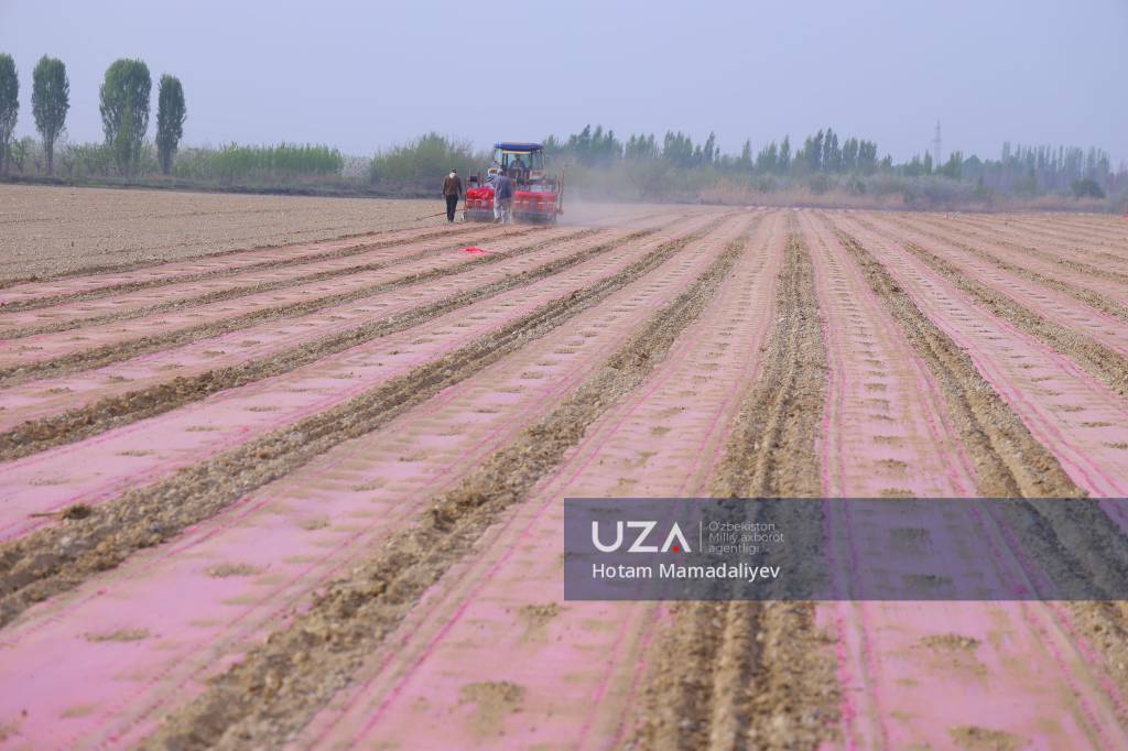 Далада баҳорги ишлар жадал