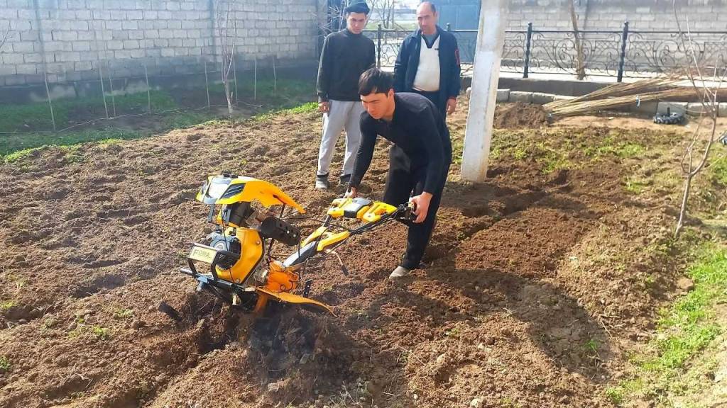 Shior emas, amaliy natija: Mirzaobodning yangi qiyofasi