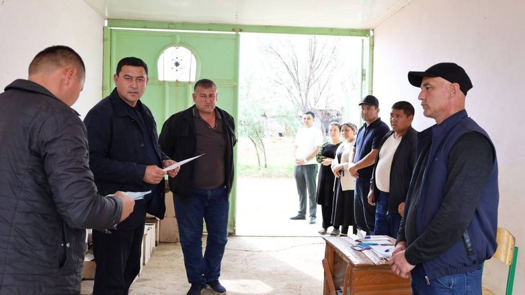 Жанубда ипак қурти боқишга киришилди