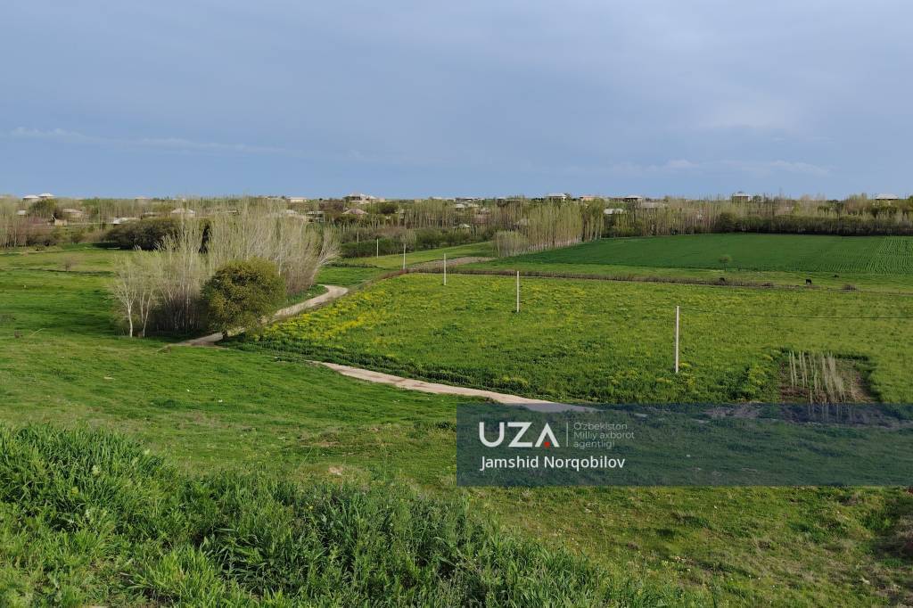 Ko‘lchiyal tajribasi