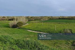 Ko‘lchiyal tajribasi