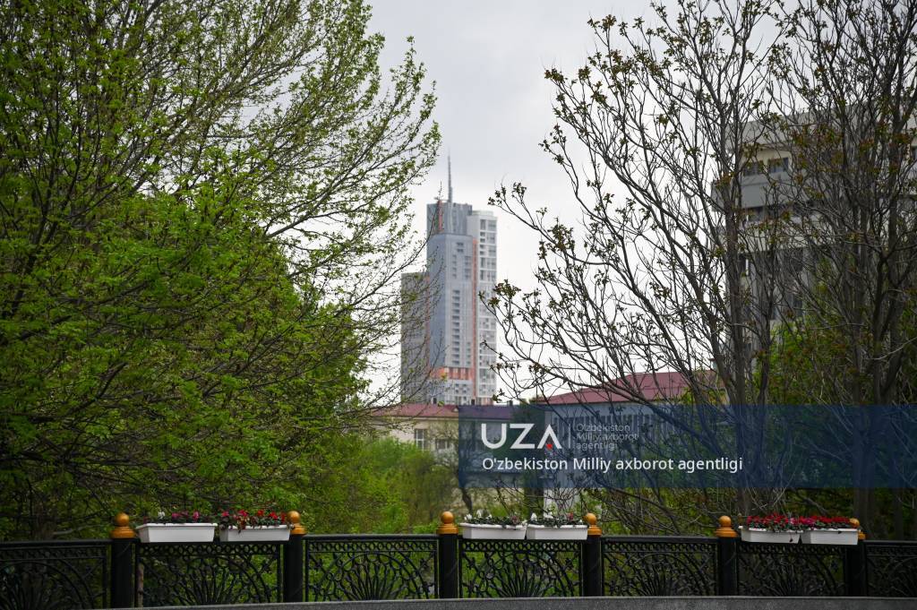 Абдулла Қодирий кўчаси бўйлаб фотосаёҳат