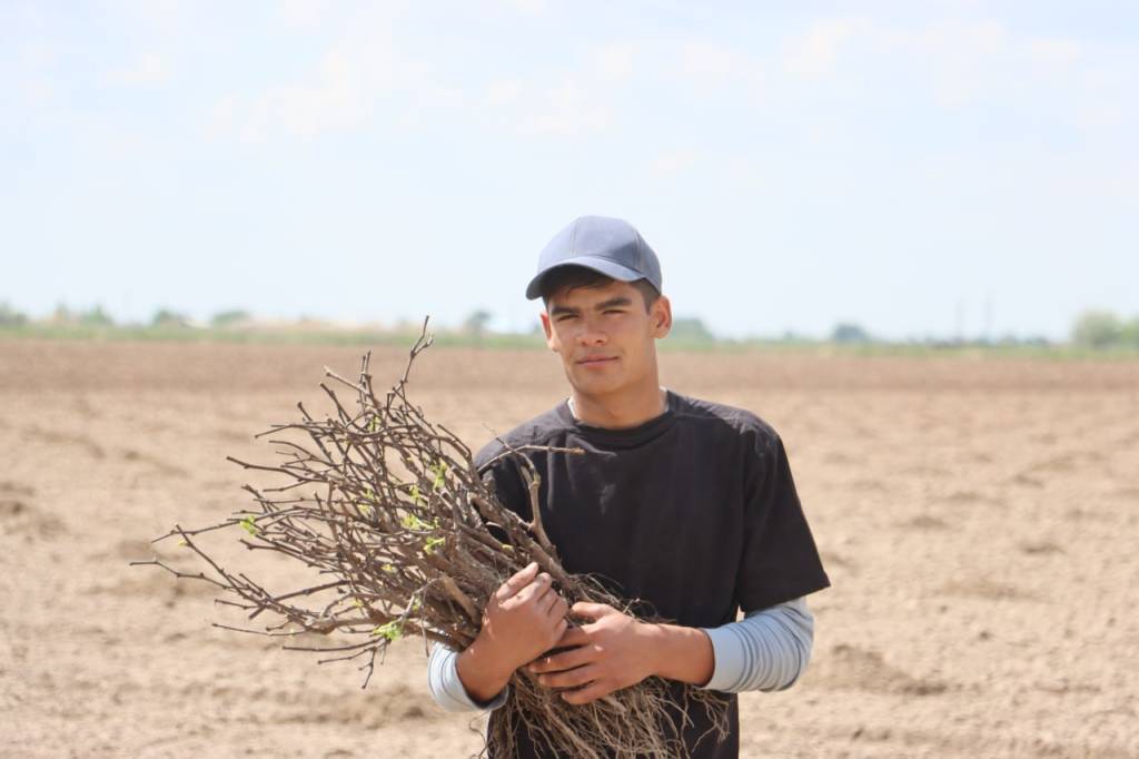Замонавий боғдорчилик – тараққиёт манбаи