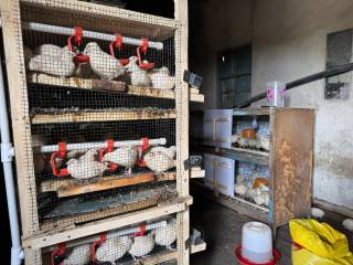 Қатъият ва имконият уйғунлиги