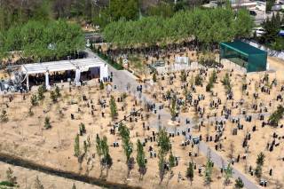 Создание Национального дендропарка – важный шаг на пути повышения экологической культуры