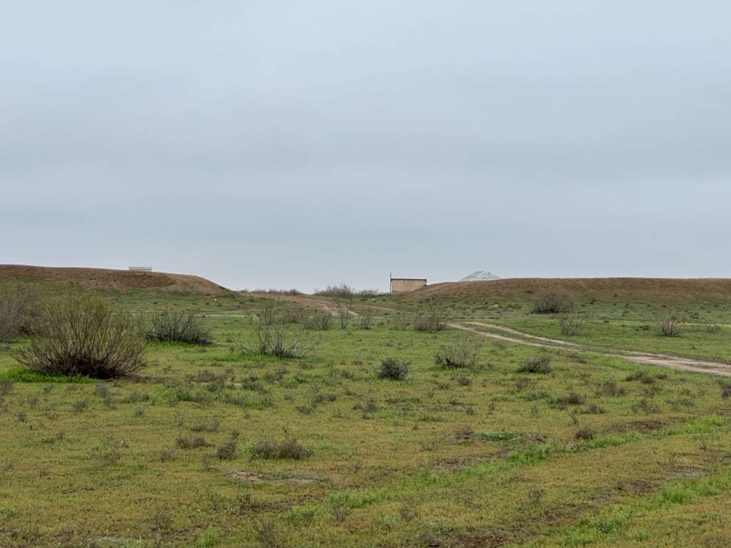 Занжирсарой: вайрон бўлган сарой ёки тарихнинг сўзловчи гувоҳи?