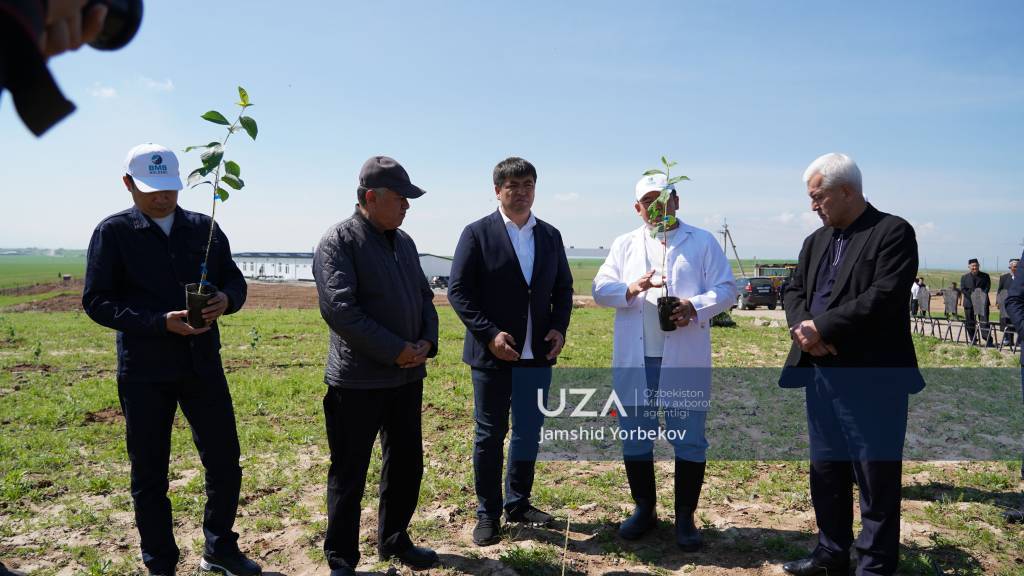 Жиззахда яшил инқилоб: Ғаллаоролнинг интенсив боғлари