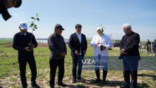 Жиззахда яшил инқилоб: Ғаллаоролнинг интенсив боғлари