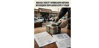 Жиззахда 96 миллион сўмлик алдов фош этилди