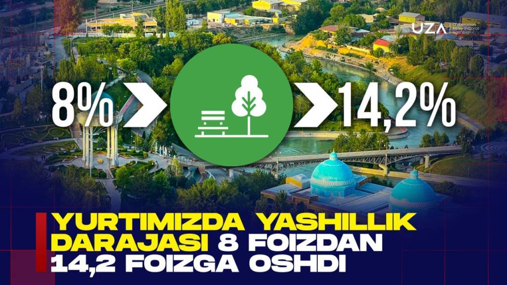 Уровень озеленения увеличился