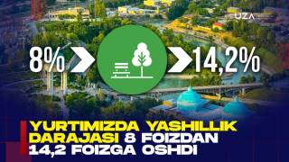 Уровень озеленения увеличился