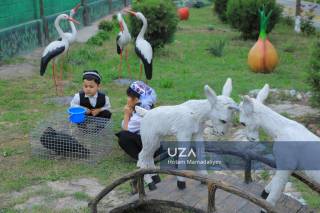 Наманганда “Эко-маданият” умуммиллий лойиҳасига старт берилди