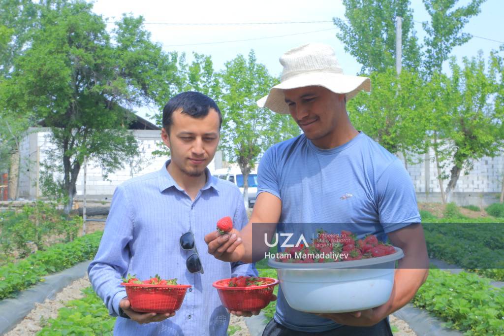 Norinda yoshlar bandligi ta’minlanib, yerdan daromad olinmoqda