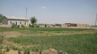 Yer uchastkalaridan noqonuniy foydalanganga javobgarlik muqarrar