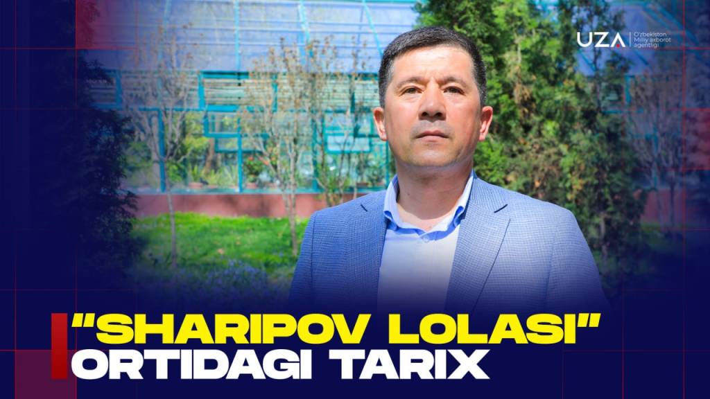 “Шарипов лоласи” ортидаги тарих (+видео)