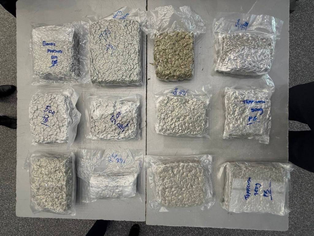 6,3 kg. marixuana olib kirishga urinish fosh etildi