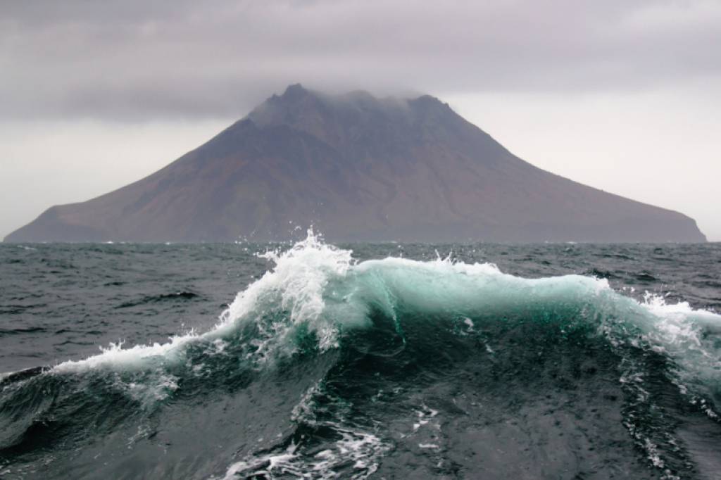 Олимлар глобал таҳдиддан хавотирда